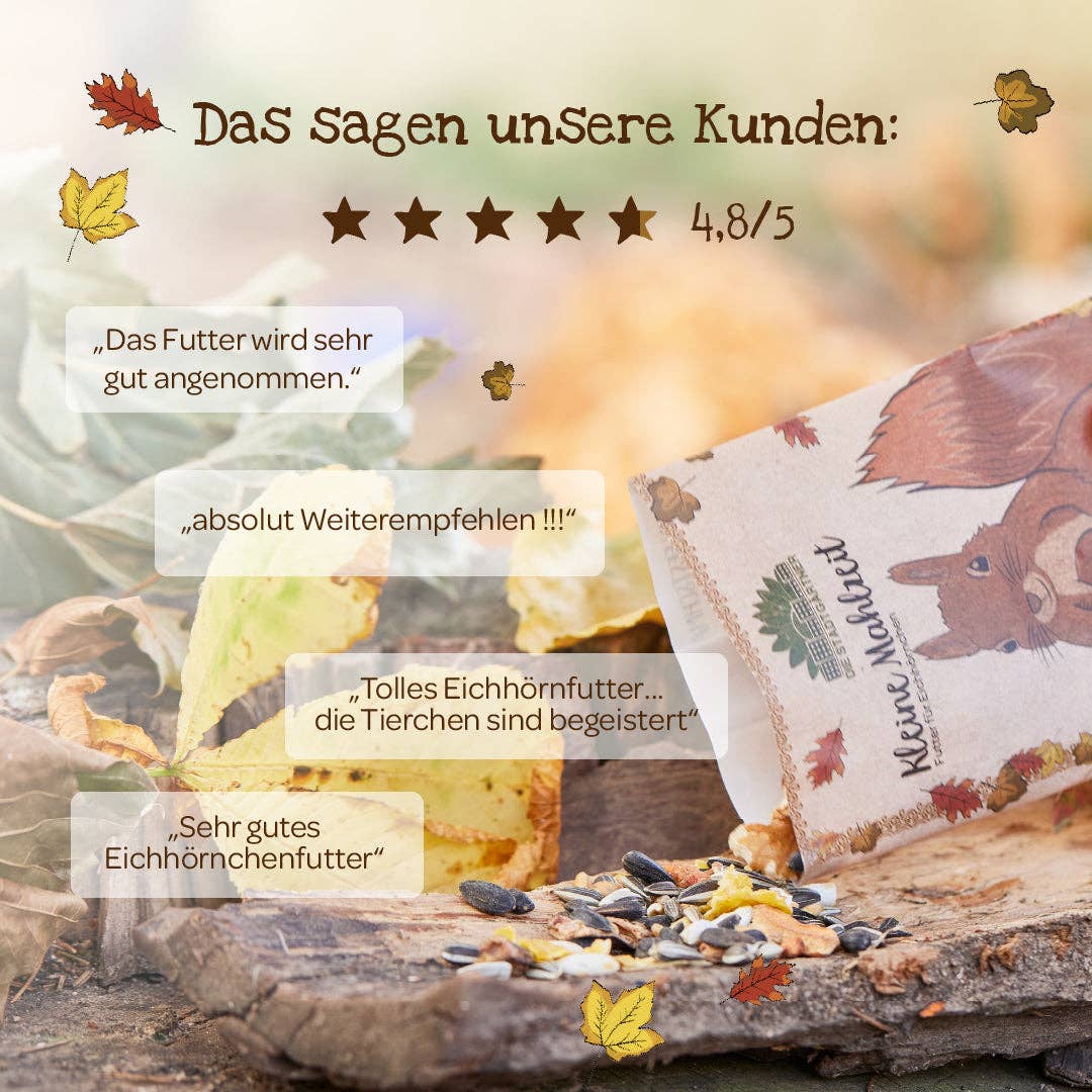 Kleine Mahlzeit Eichhörnchen