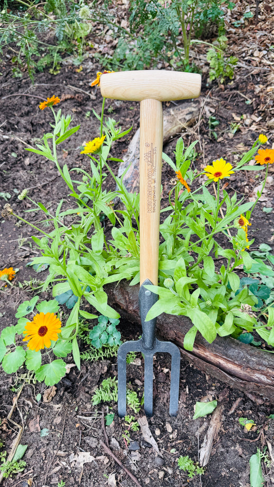 Krumpholz - digging fork / perennial fork handy small with ash T-handle approx. 60cm