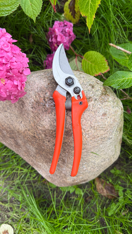 Original Löwe 14.107 Bypass scissors with curved handle