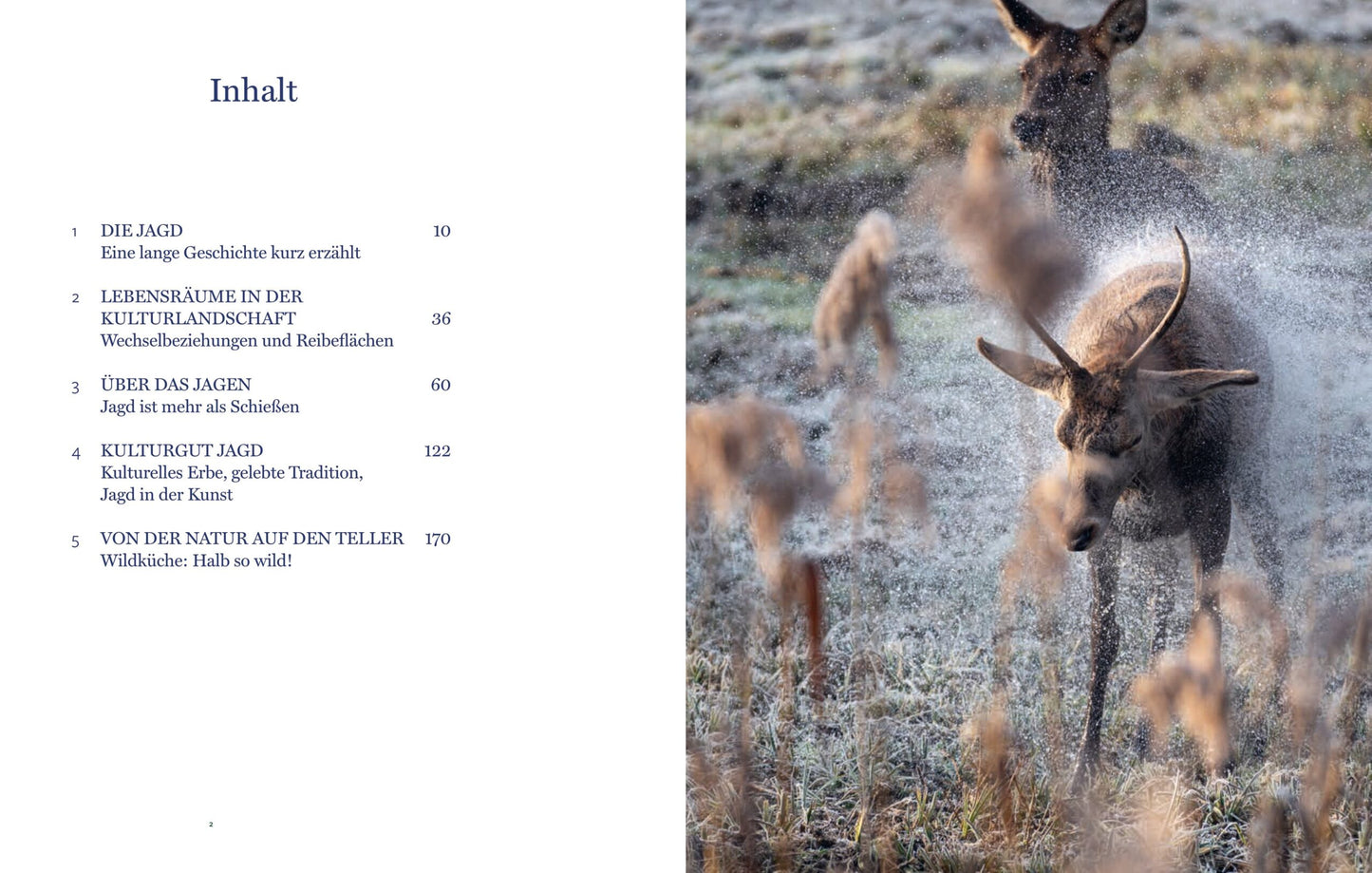 Buch Auf der Jagd