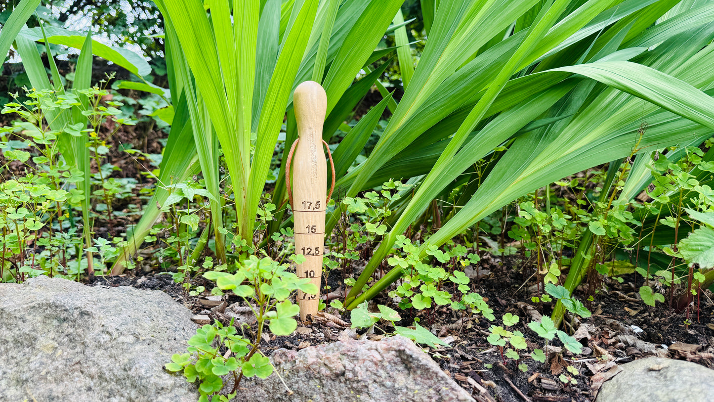 Krumpholz plant stake with brass tip and leather strap