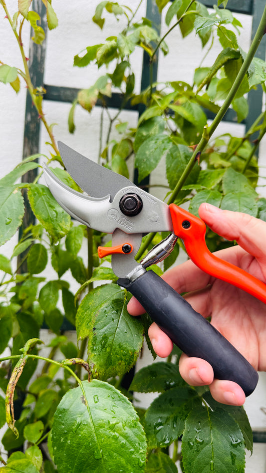 Original Löwe 9.109 Bypass scissors with roll handle and long blade