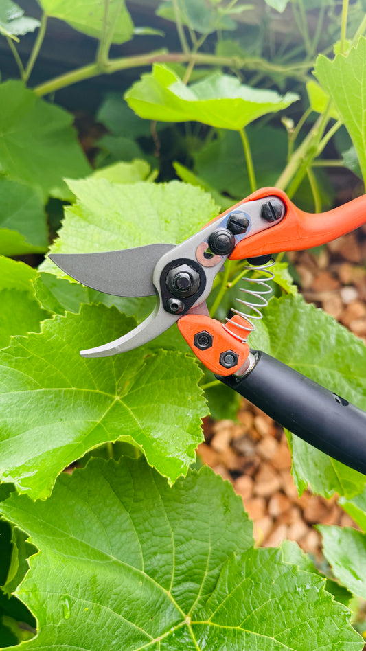 Original Löwe 12.109 Bypass scissors with rolling handle