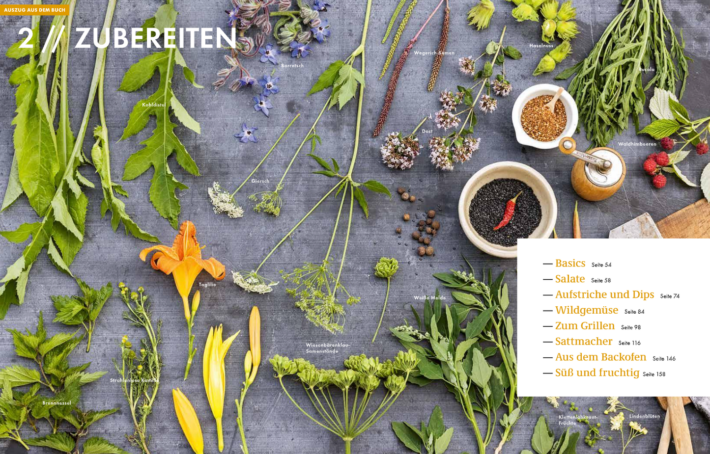 Buch Wildkräuter – Bestimmen, Sammeln, Zubereiten