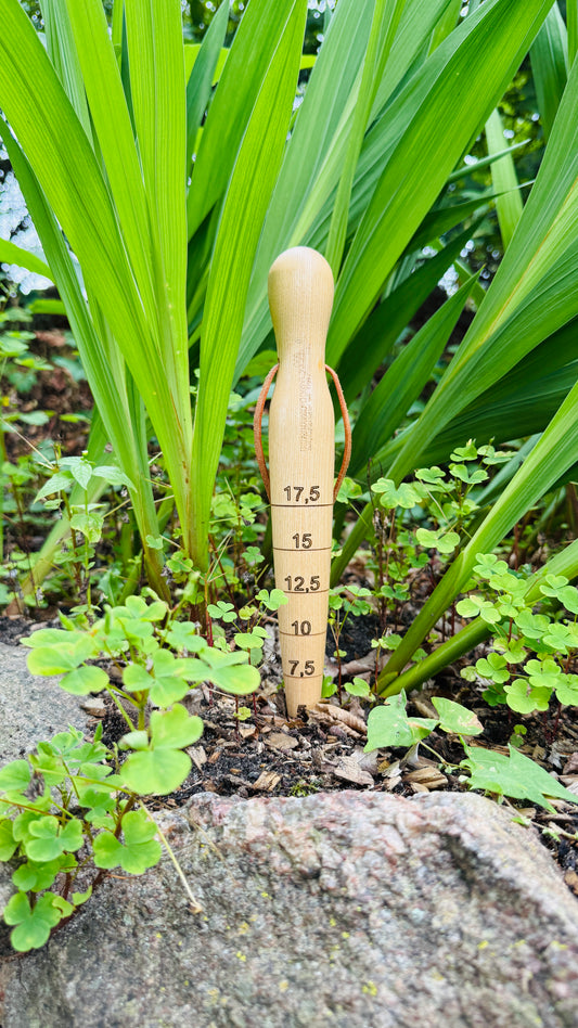 Krumpholz plant stake with brass tip and leather strap