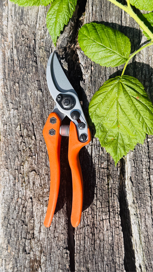 Original Löwe 11.107 Bypass scissors with curved handle and long blade