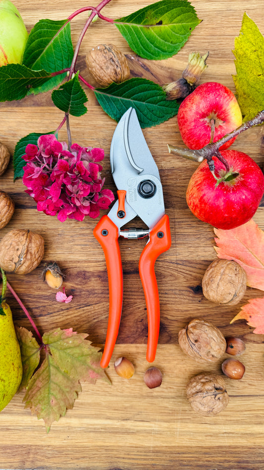 Original Löwe 9.107 Bypass scissors with curved handle