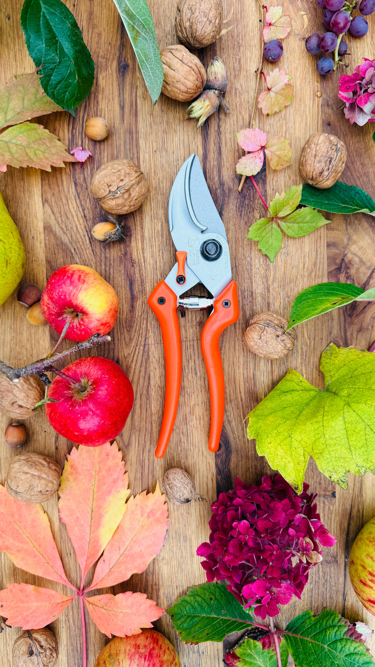 Original Löwe 9.107 Bypass scissors with curved handle