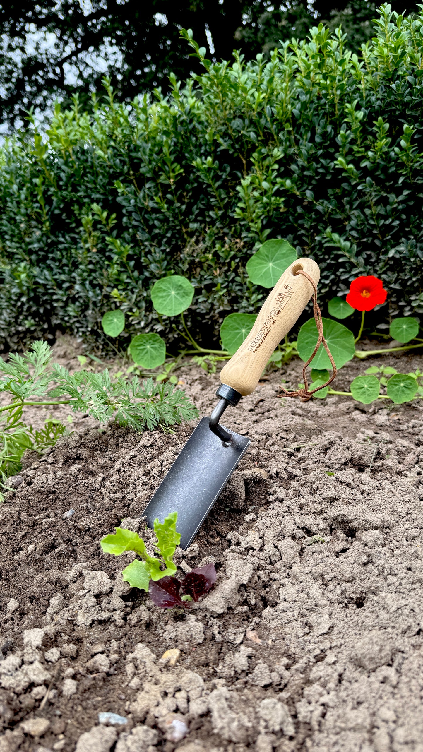 Krumpholz planting trowel narrow