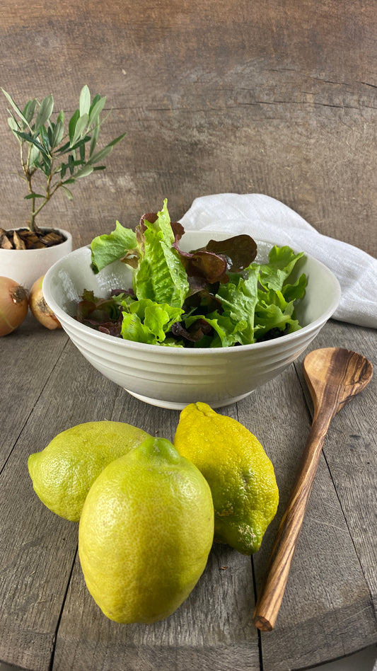 Bowl hand-made from the Lower Saxony studio Andrea
