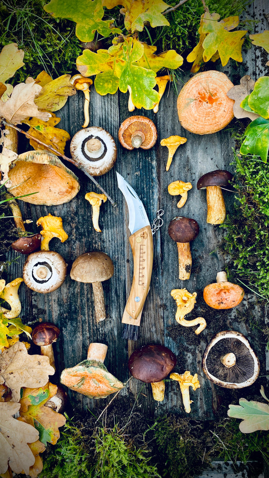 Mushroom knife