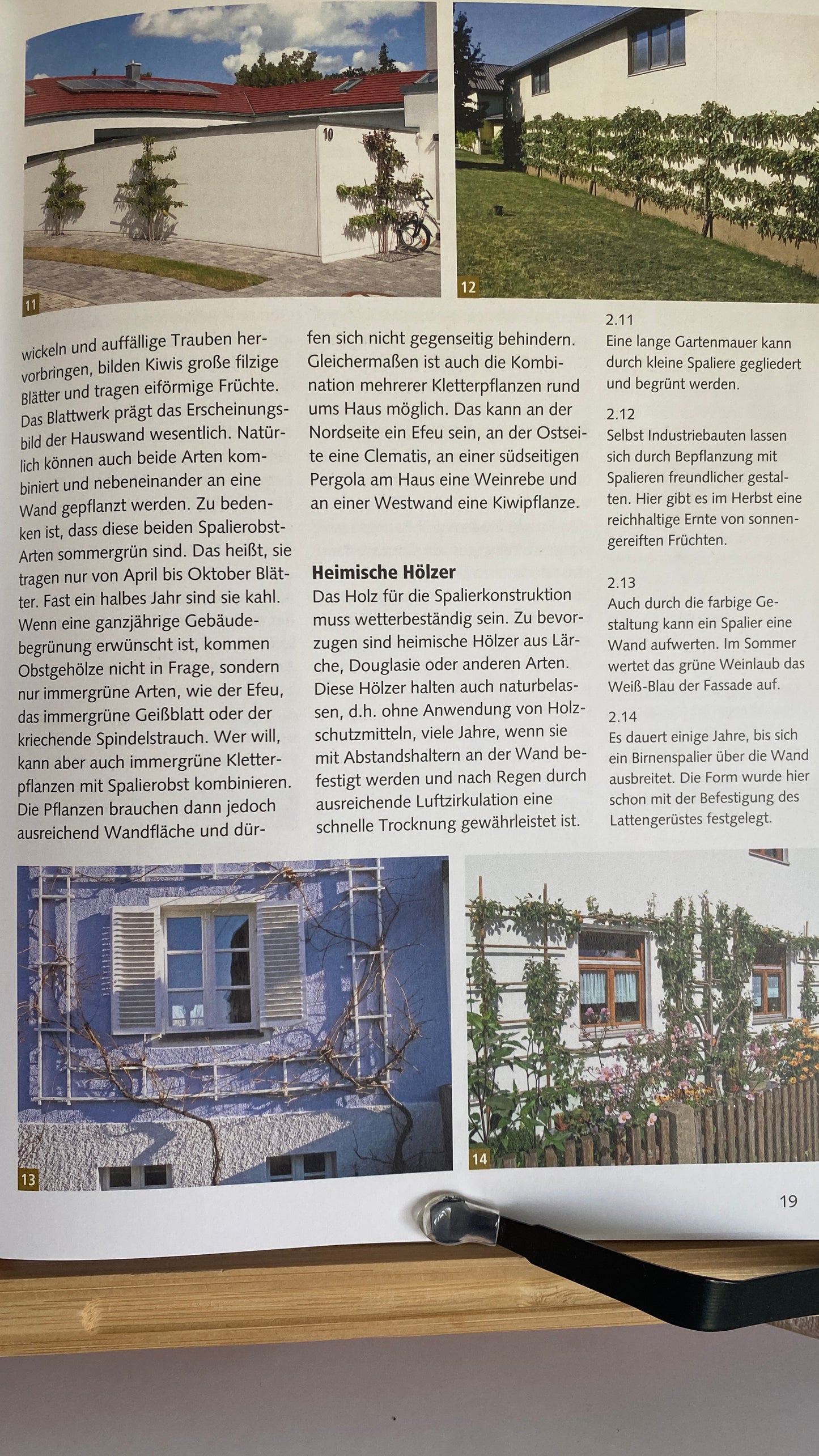 Buch Spalierobst im Hausgarten