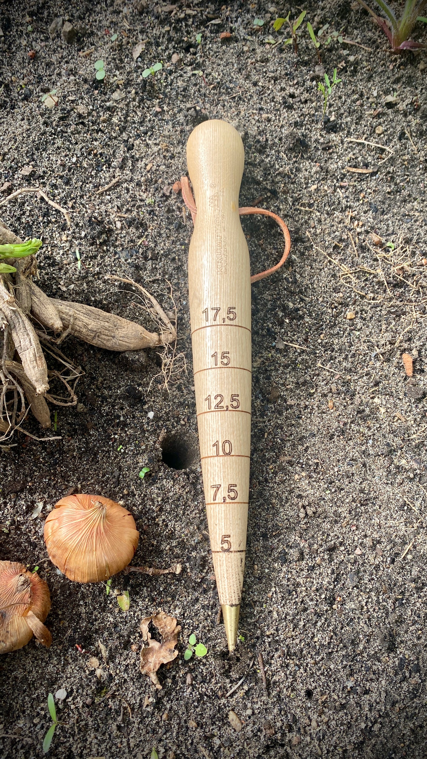 Krumpholz plant stake with brass tip and leather strap