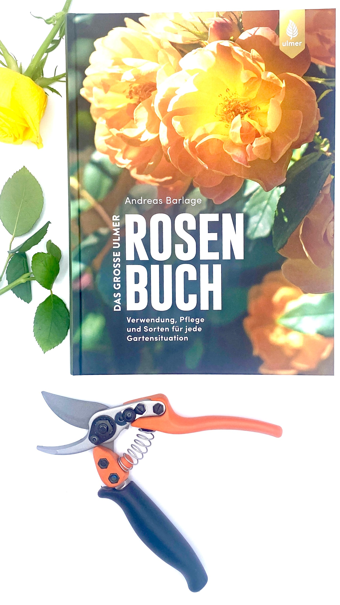 Geschenkset Das große Rosen Buch mit Original Löwe Bypass-Schere mit Rollgriff
