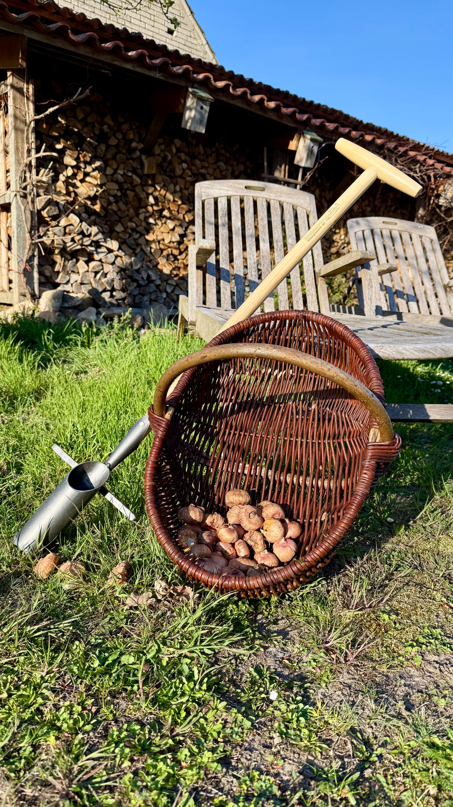 Krumpholz Zwiebelpflanzer 6 cm Durchmesser mit Tritt und Esche-T-Stiel 80 cm