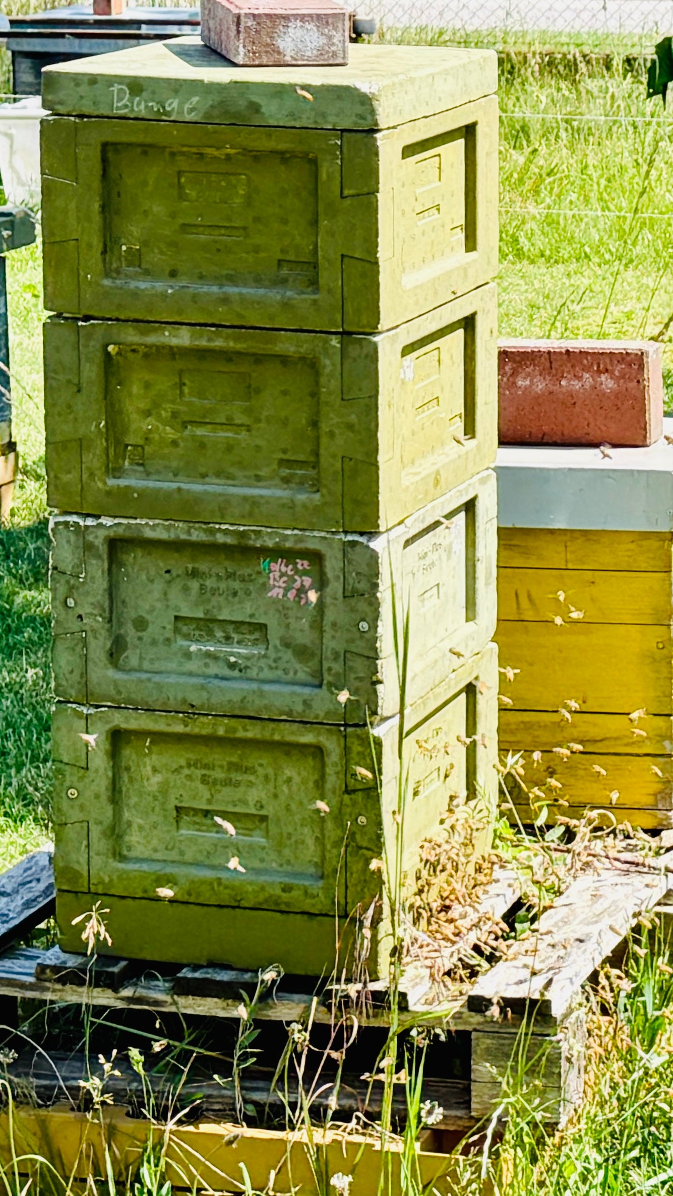 Prignitz Honey - Acacia