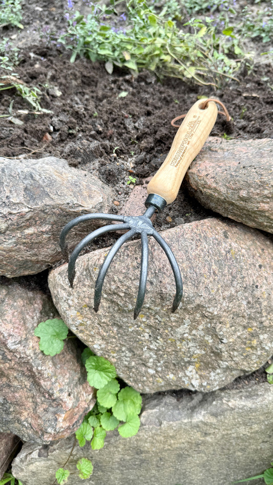 Krumpholz cultivator – 5 tines with 14 cm ash handle