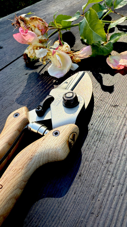 Original Löwe 6.107 anvil scissors natural real wood handle