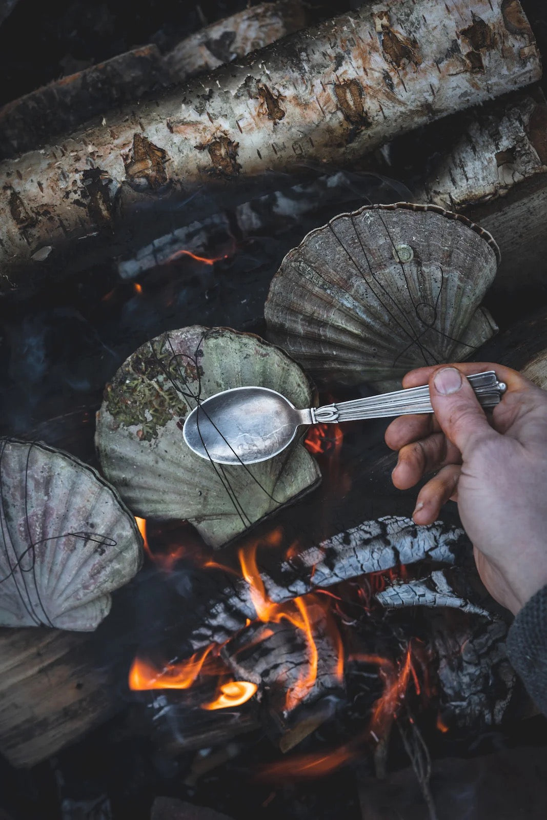 Buch Kochen mit Feuer