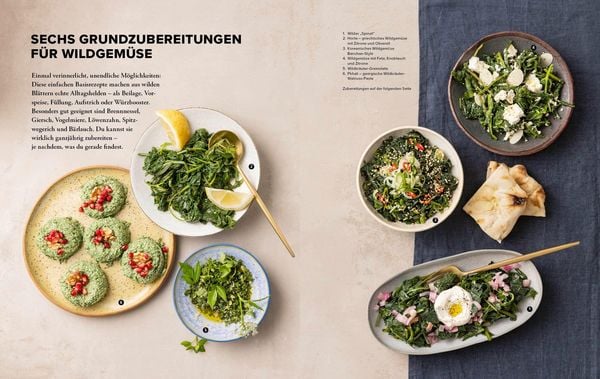 Wildkräuter Top 10 - Sammeln und kochen