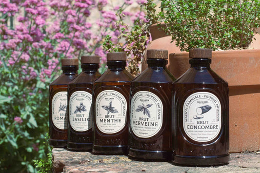 Bacanha – Bio-Sirupe aus Frankreich mit Charakter und Tiefe