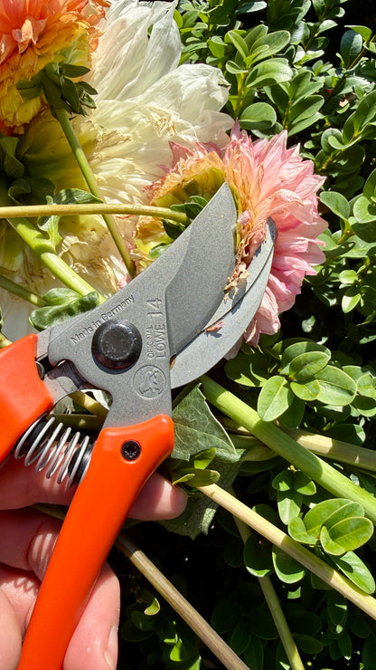 Original Löwe 14.107 Bypass scissors with curved handle