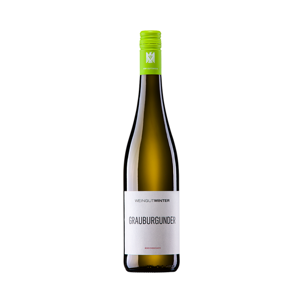 GRAUBURGUNDER 2025 - Weingut Winter