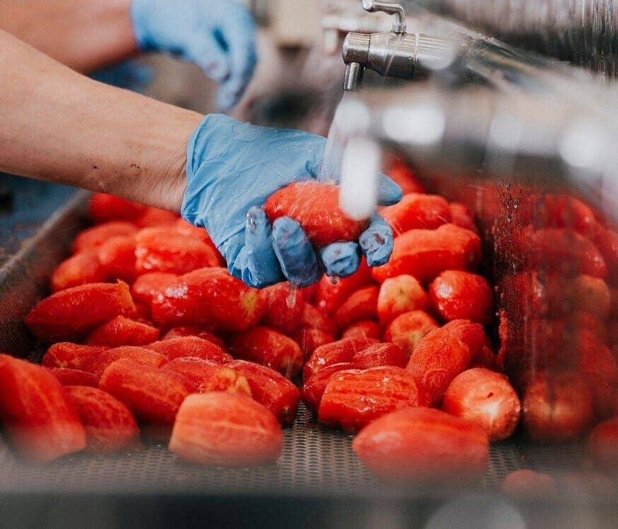 Geschälte Bio-Tomaten - 500gr