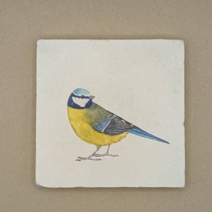 Fliese - Blaumeise
