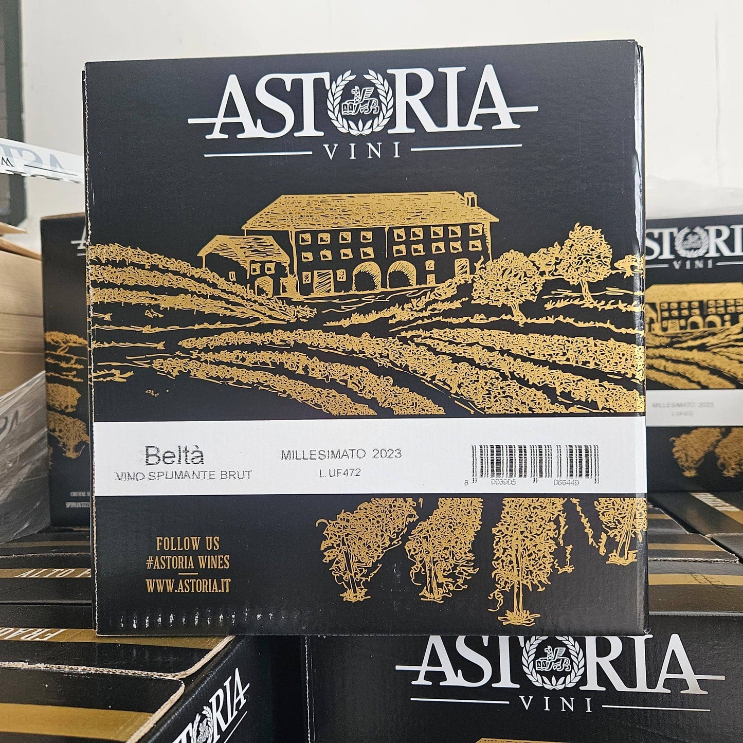 Sparkling wine Brut Millesimato “Beltà” Astoria 0.75 liters
