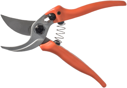 Original Löwe 14.104 Bypass Schere mit Standardgriff