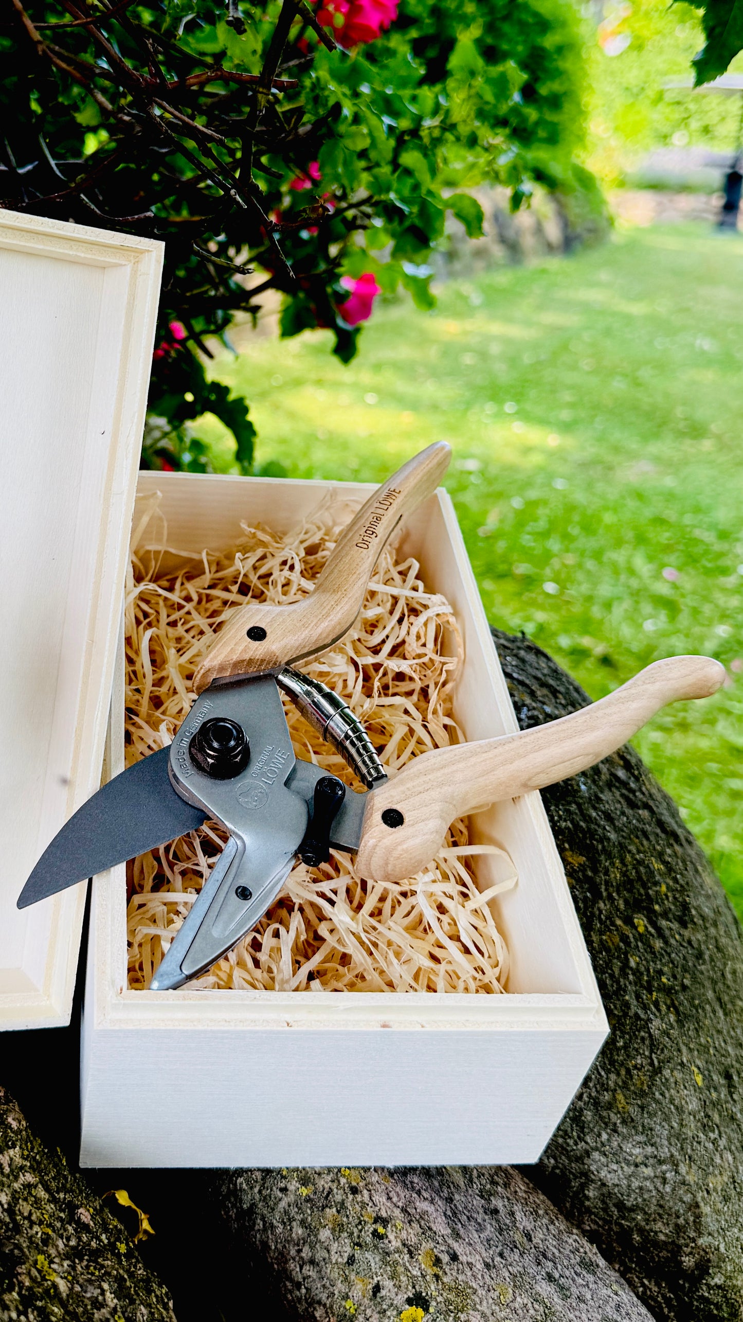 Original Löwe 6.104 anvil scissors with natural wood handle