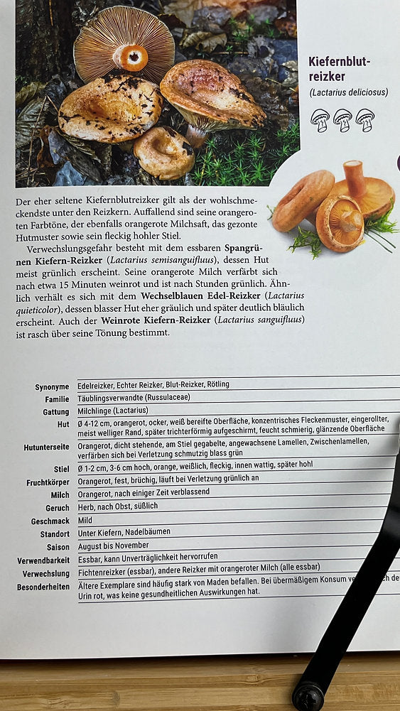 Geschenk-Set Pilzbuch & Pilzmesser
