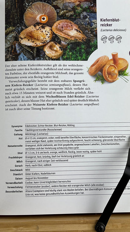 Geschenk-Set Pilzbuch & Pilzmesser