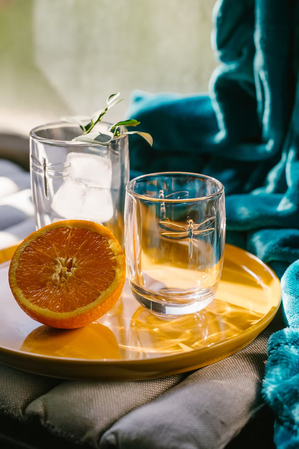 La Rochère  Libelle Longdrinkglas, 6er-Set