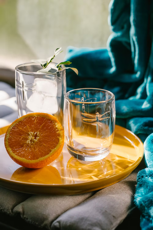 La Rochère  Libelle Longdrinkglas, 6er-Set