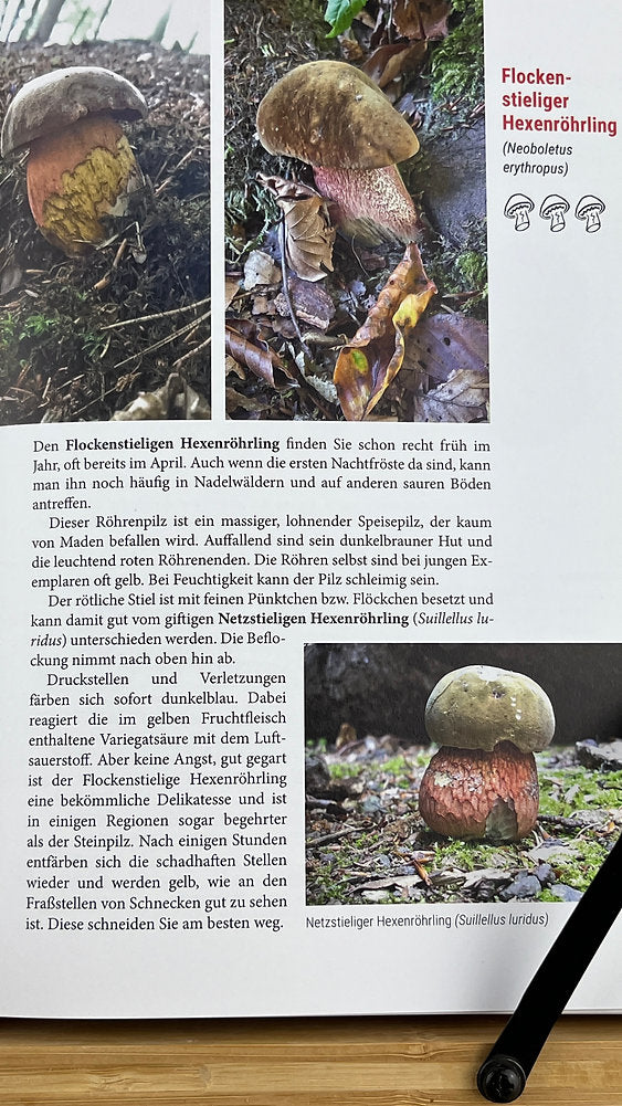 Geschenk-Set Pilzbuch & Pilzmesser