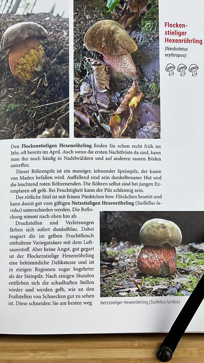 Geschenk-Set Pilzbuch & Pilzmesser