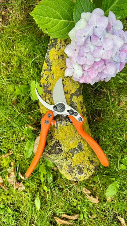 Original Löwe 11.107 Bypass Schere mit geschwungenen Griff und langem Blatt