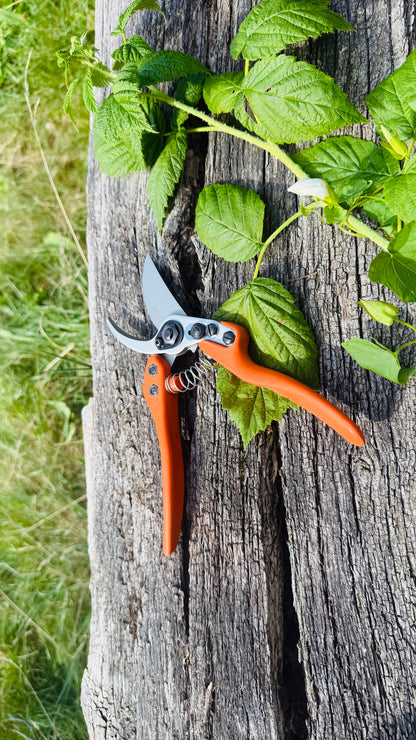 Original Löwe 11.107 Bypass Schere mit geschwungenen Griff und langem Blatt