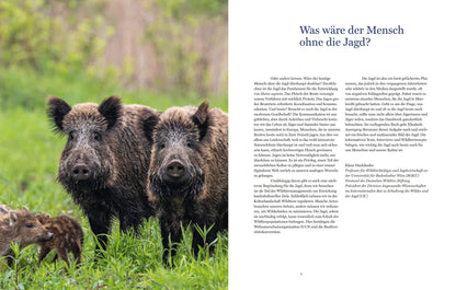 Buch Auf der Jagd