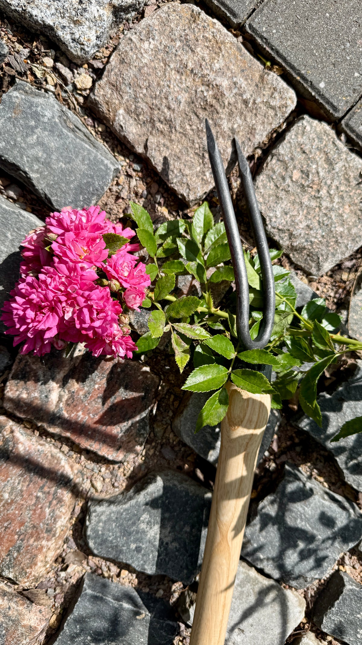 Geschmiedete Rosengabel Nr. 1469 aus der Krumpholz- Gartenwerkzeugserie