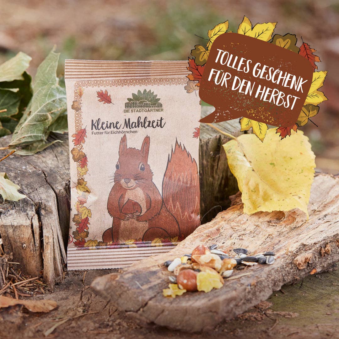 Kleine Mahlzeit Eichhörnchen