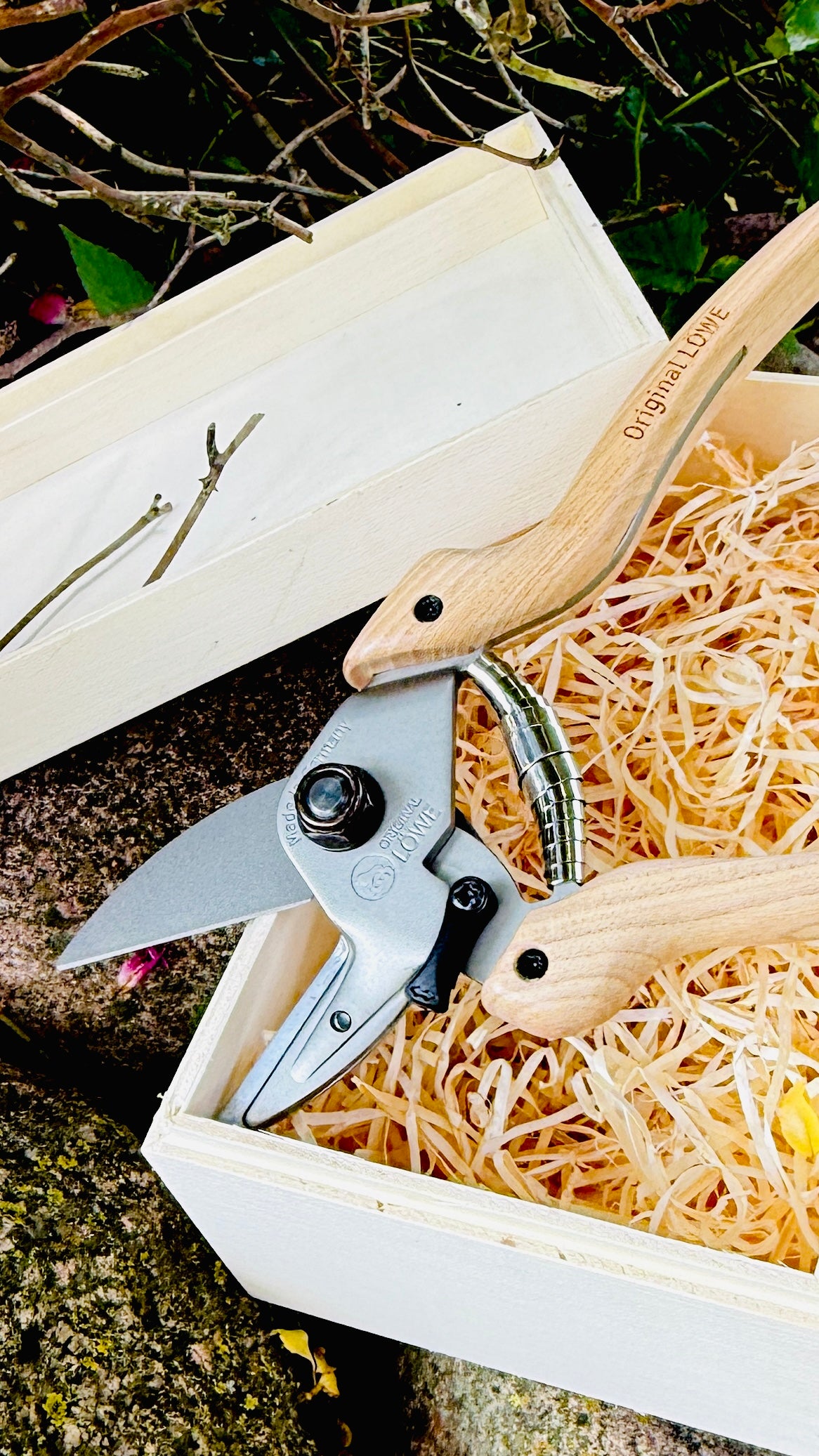 Original Löwe 6.104 anvil scissors with natural wood handle