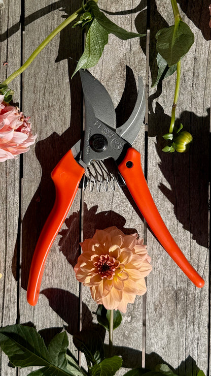Original Löwe 14.107 Bypass scissors with curved handle