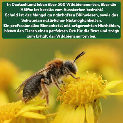 ERDENFREUND® Wildbienenhotel mit Schmetterlingshaus