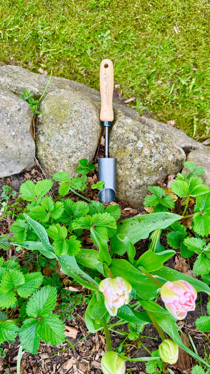 Krumpholz – Zwiebelpflanzer mit Eschengriff – Nr. 1327