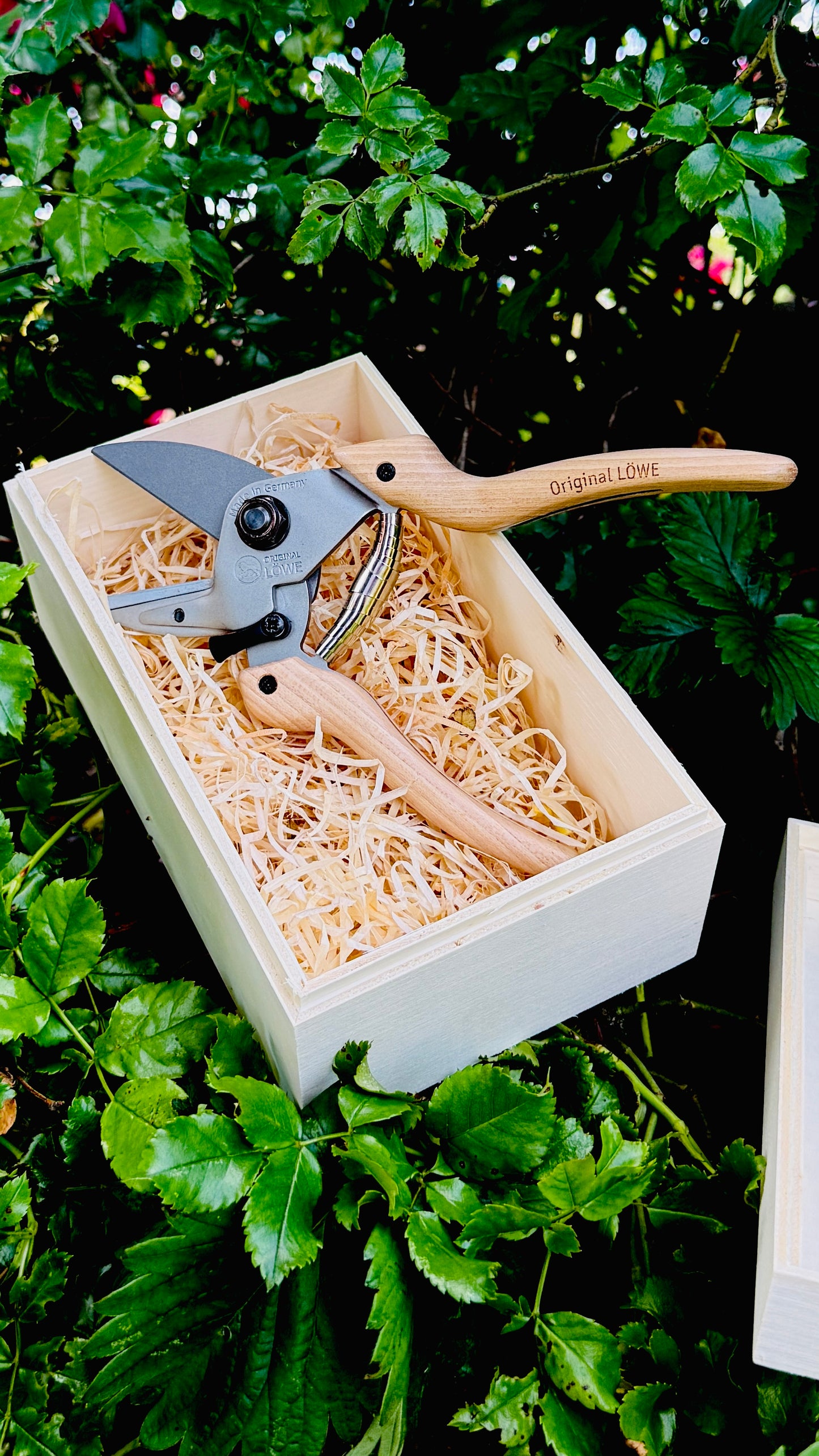 Original Löwe 6.104 anvil scissors with natural wood handle
