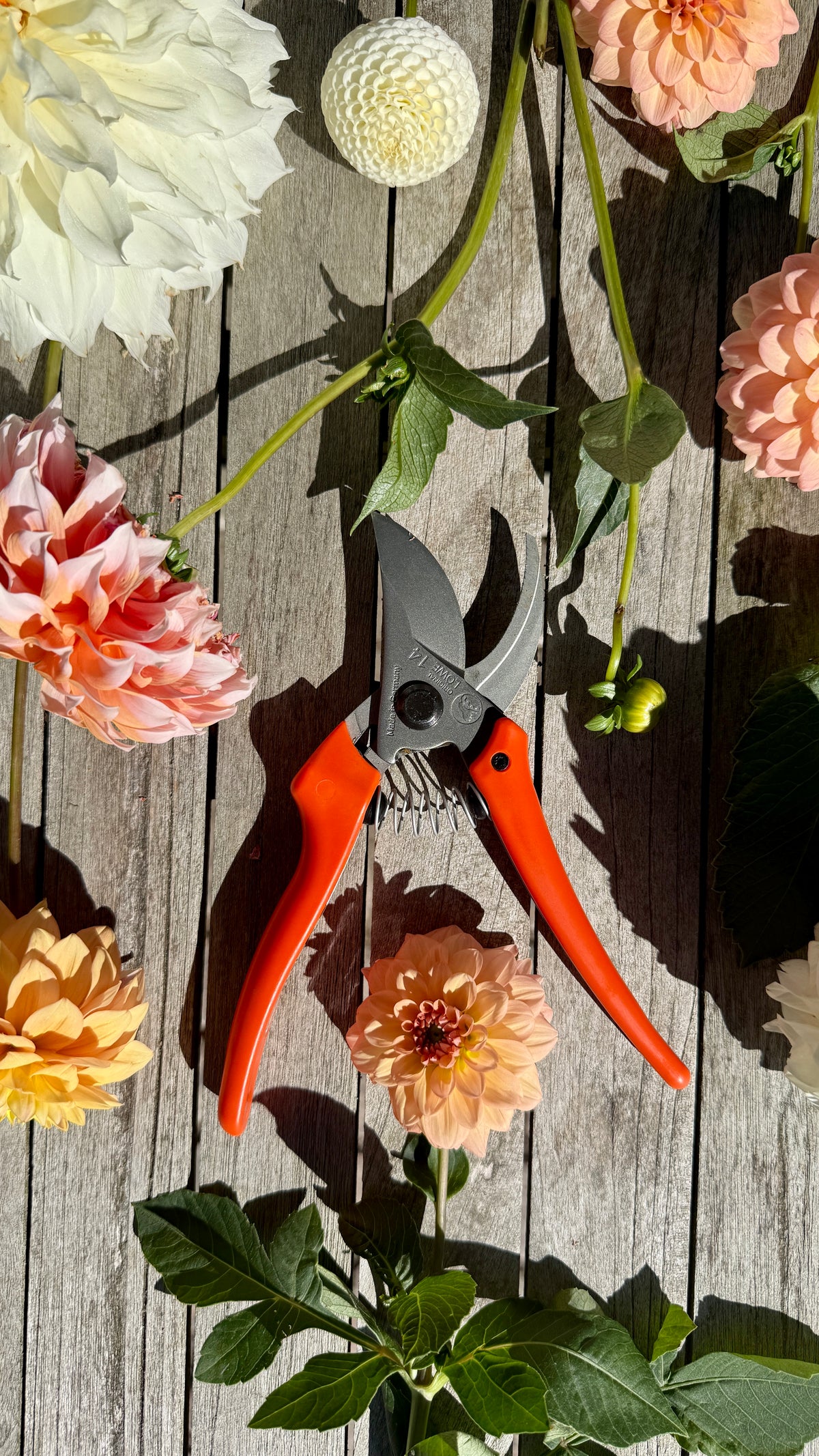 Original Löwe 14.107 Bypass scissors with curved handle