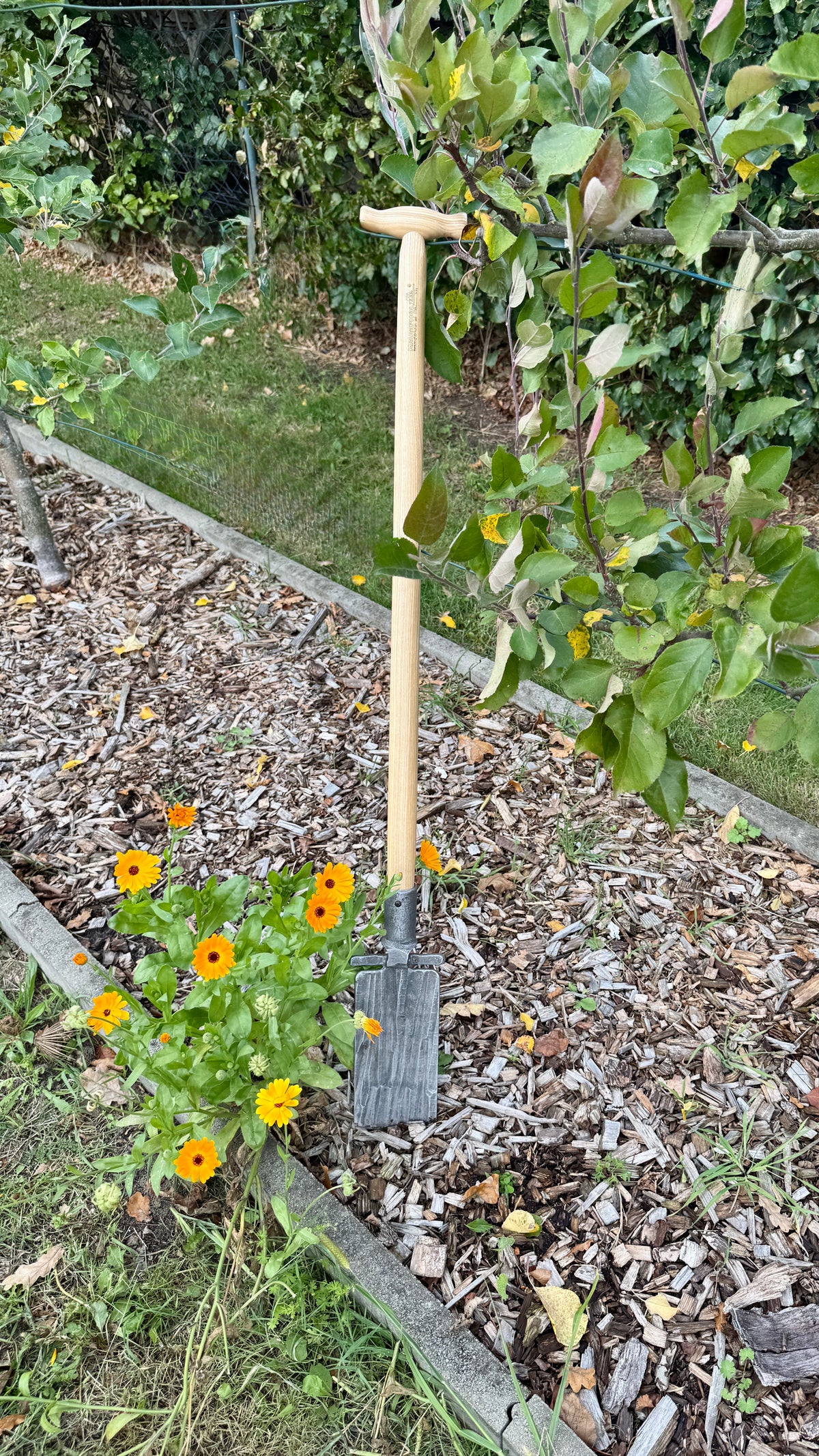 Krumpholz – Beetspaten mit Tritt und 80 cm Eschen-T-Stiel – Nr. 1577/ D-Stiel 1595